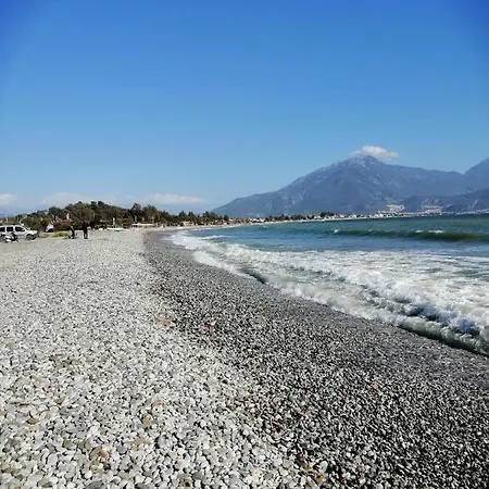 Ilkbahar Διαμέρισμα